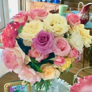 Meet your Posher, Donna